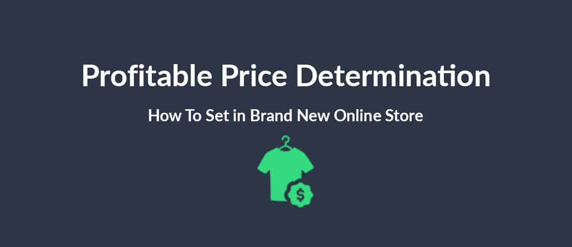 Profitable Price Determination How To Set in Brand New Online Store